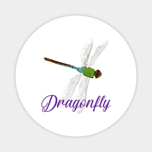 Dragonfly Magnet